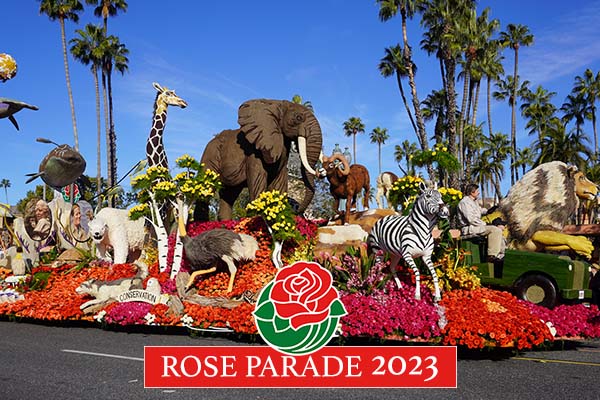 Rose Parade Winners 2023